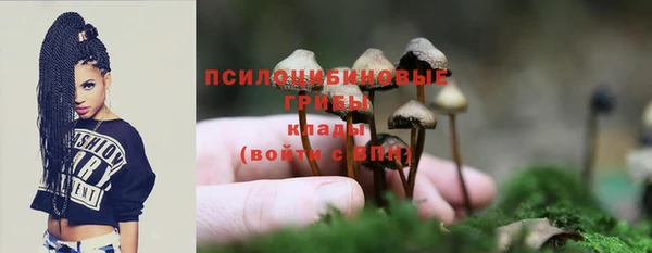 мескалин Арсеньев