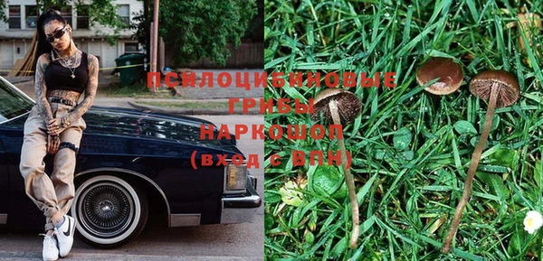 мескалин Арсеньев