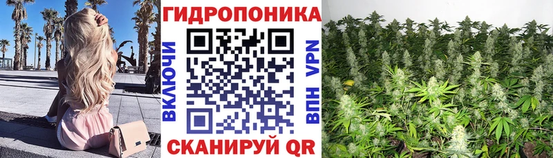 МЕГА   Таштагол  Каннабис планчик 